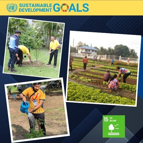 การใช้ประโยชน์จากระบบนิเวศทางบก 